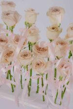 Birthday Edition - Image 3