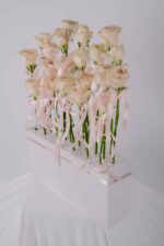 Birthday Edition - Image 2