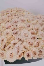 Flat Arrangement - Image 6